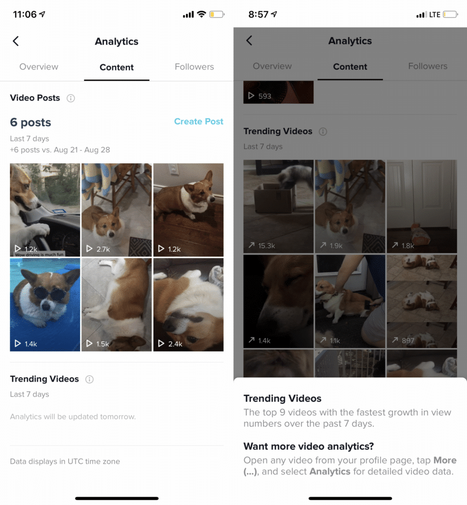 Tiktok Analytics Snapshot Showing Content Video Post, Trending Videos And More