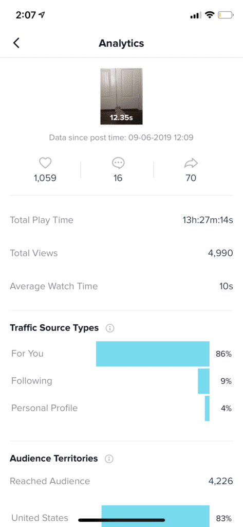 Snapshot Of Tiktok Analytics Showing Traffic Source Type And Overall Audience Activity